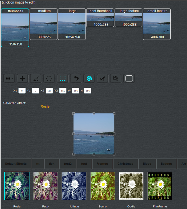 Best WordPress Plugin to Add Custom Image Editor in Blog